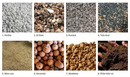 Nguyên liệu để làm đất trồng sen đá tại nhà.